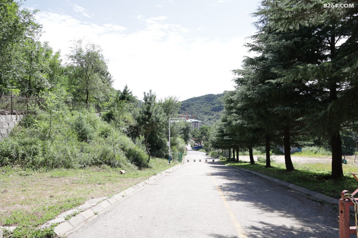 8P5A0946.JPG