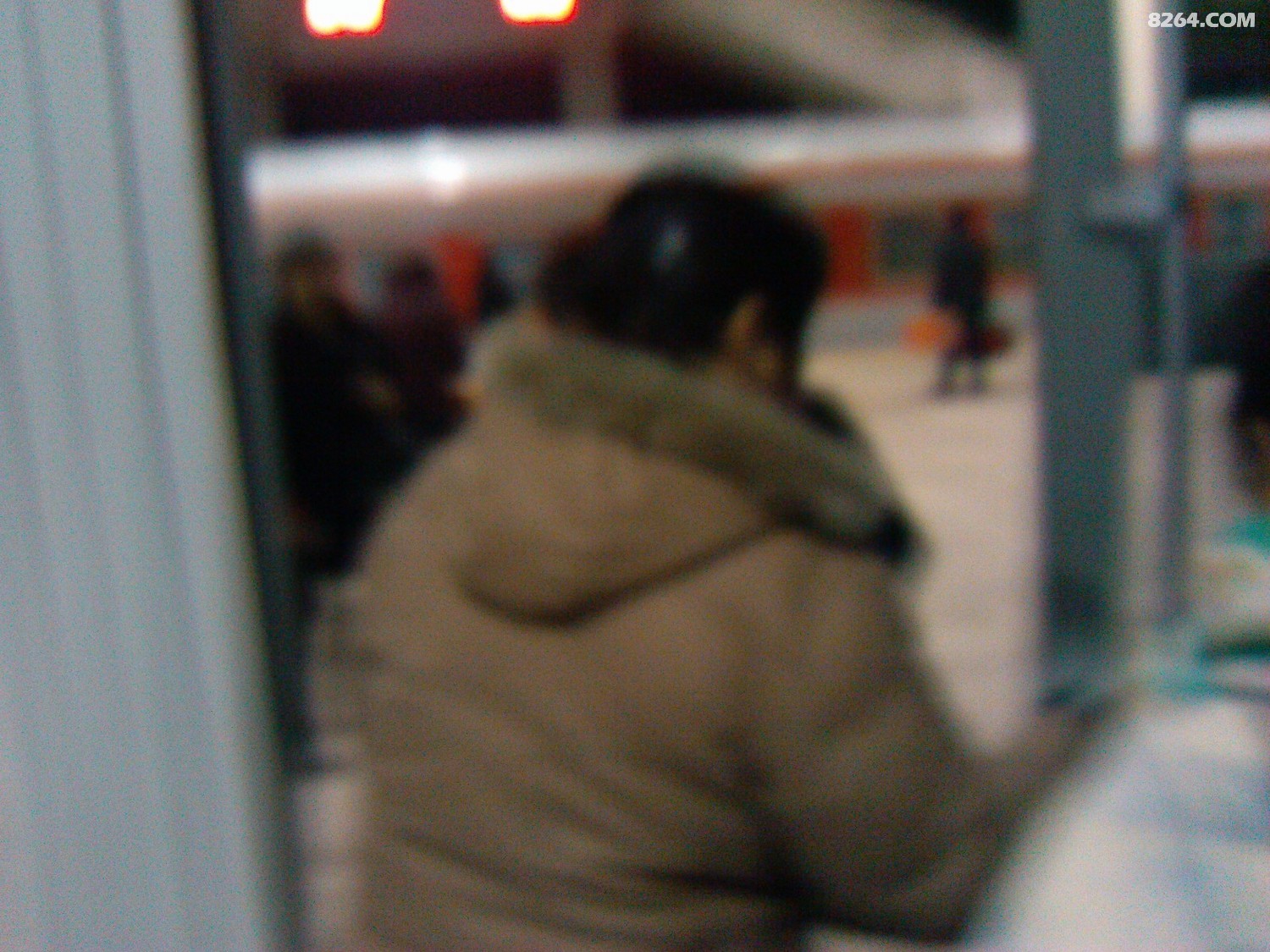 IMG_20130112_033138.jpg