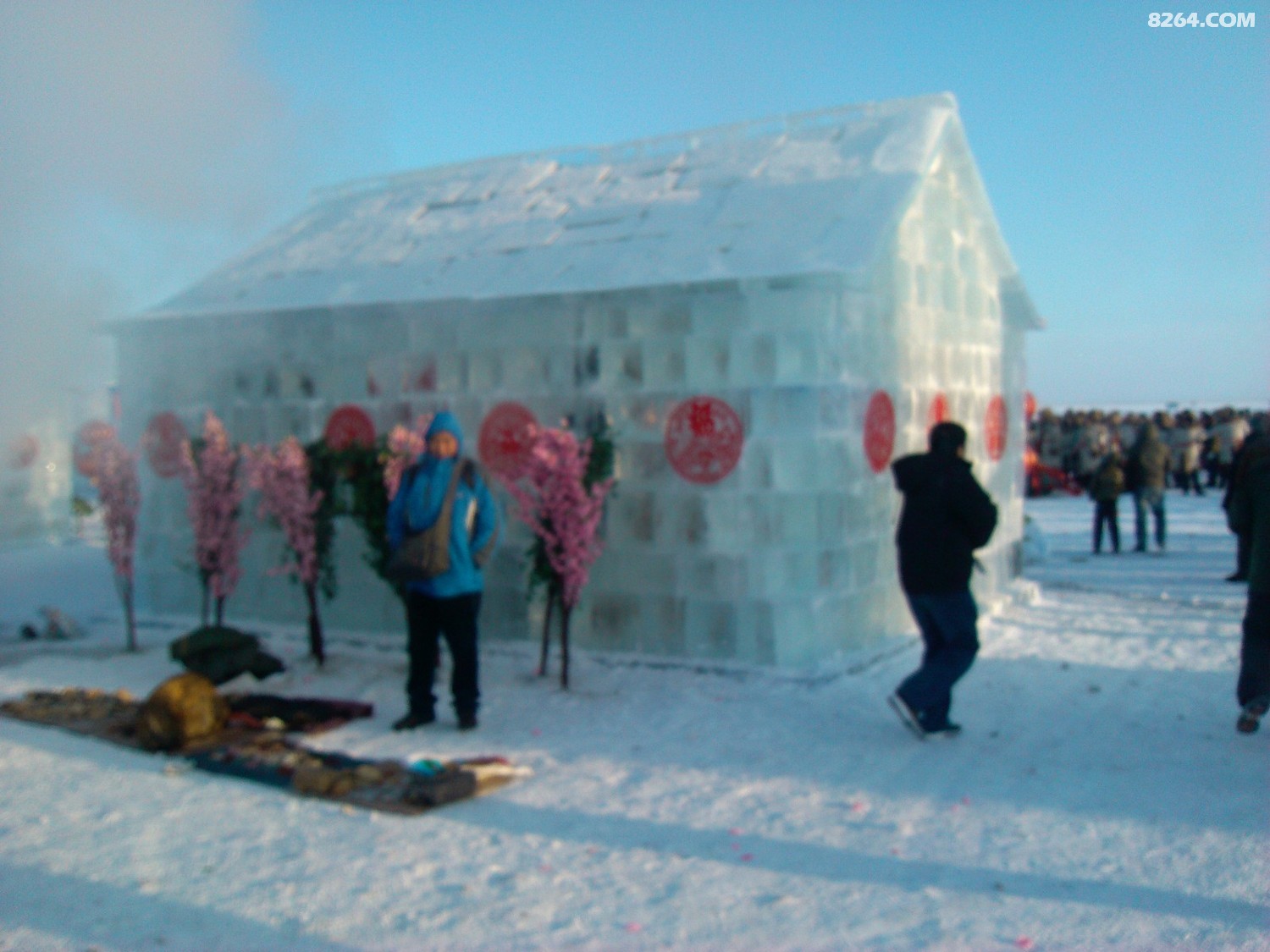 IMG_20130112_105503.jpg