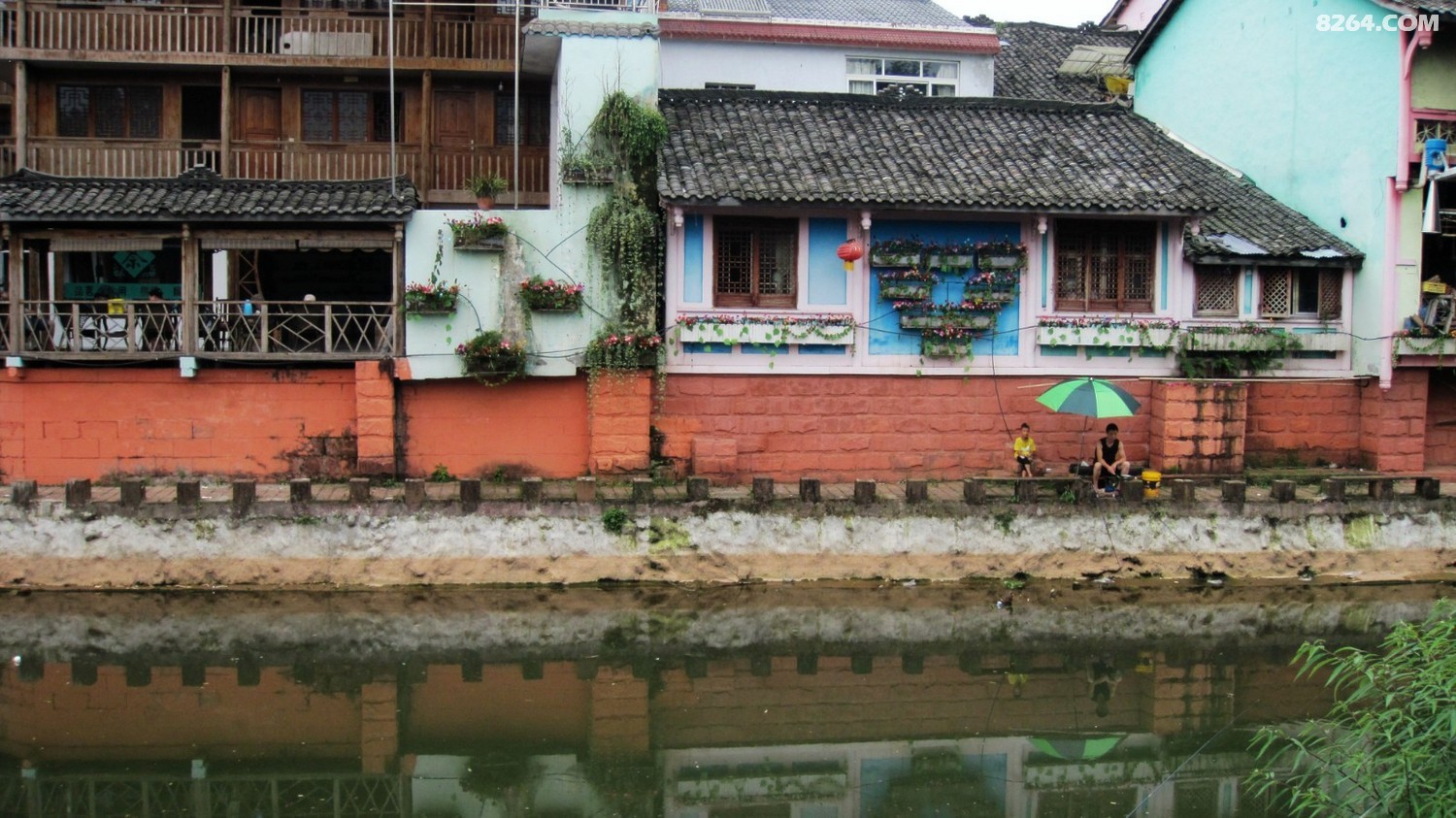 IMG_4559.JPG