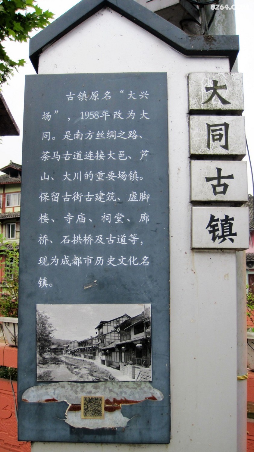 IMG_4565.JPG