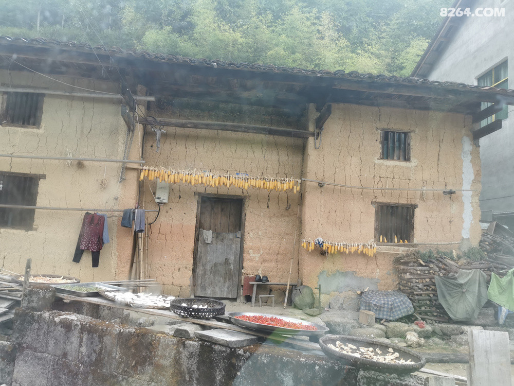 2022937ӳɳһ30ˣƺƵǰĴ塣˳ʱ̫1ŵĿĵءϾɵķڸʽԵø⣬ַӡкֻڶǰף˸ָļɹɵĸɻΨһźû̻ϷӼ֤µıǨûоĹȥ