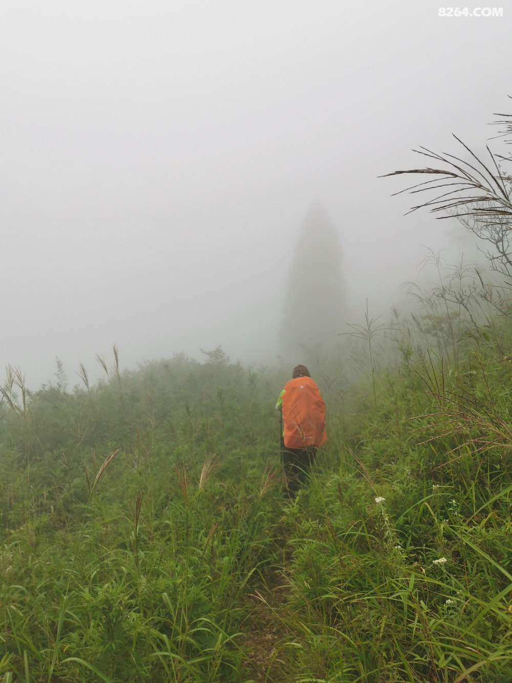 Զͬһһ㣬Գһ羰ͬһɾ