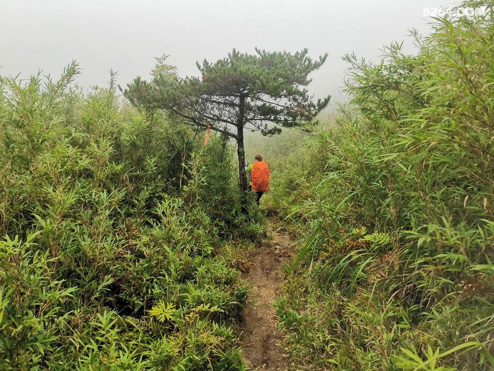 һгرɣ¶ˣһû̫ķ羰ɿɽʱ·ķ羰·ϣһɽһܣܴȻһȫµϴ