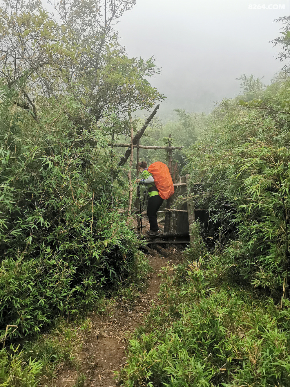 դӭ洵һݵмдһţķ㣬ζǶôϤ֮һһİĻһ˵ĸоôϤʨӿڵķΧϸǳǳţ