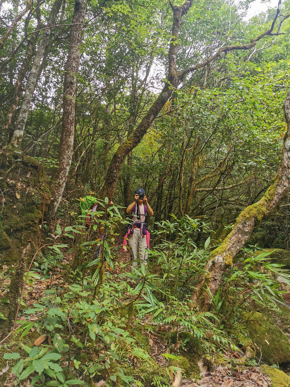 ӰС㣬лСôÿĴƬʱԳһ羰