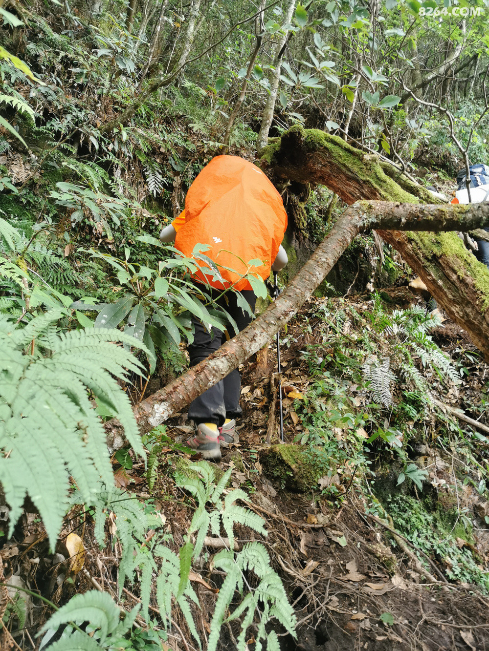 ڶһֱ£;һг岻ѣǰװװǱȽɵһΣǰҵûʹˮũɽȪ1.5Lˮװʹó˵ӿռϽԼ˲٣2ˮͬʱһ500ˮΪˮ޷װˮɽɽһǱȽϲȲˮΪ²ߣˮ󲻸ߣˮʣࡣ       ˾ǺܱߵС飬״װ۹Ǹѡ񣬵Ȼ۹һ20ҵ·̣һװҲԣӳɳһװг̣˲ǺƼΪɳȥ۹·ʵ̫Զˣȥ²뻹Զ