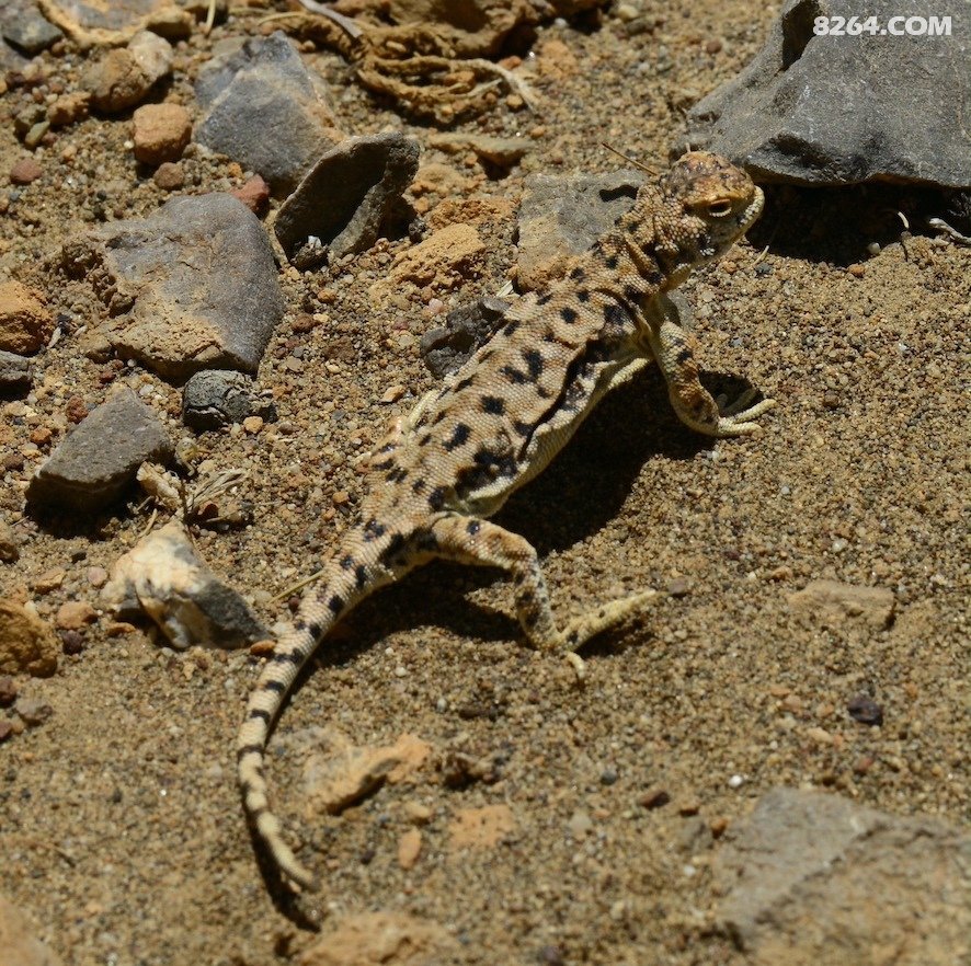 2019骑行库拉岗日