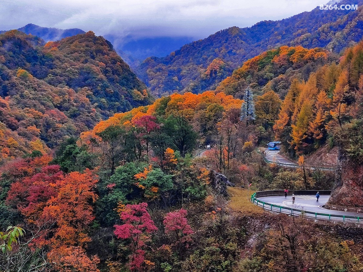 IMG_20211026_162317 12.jpg