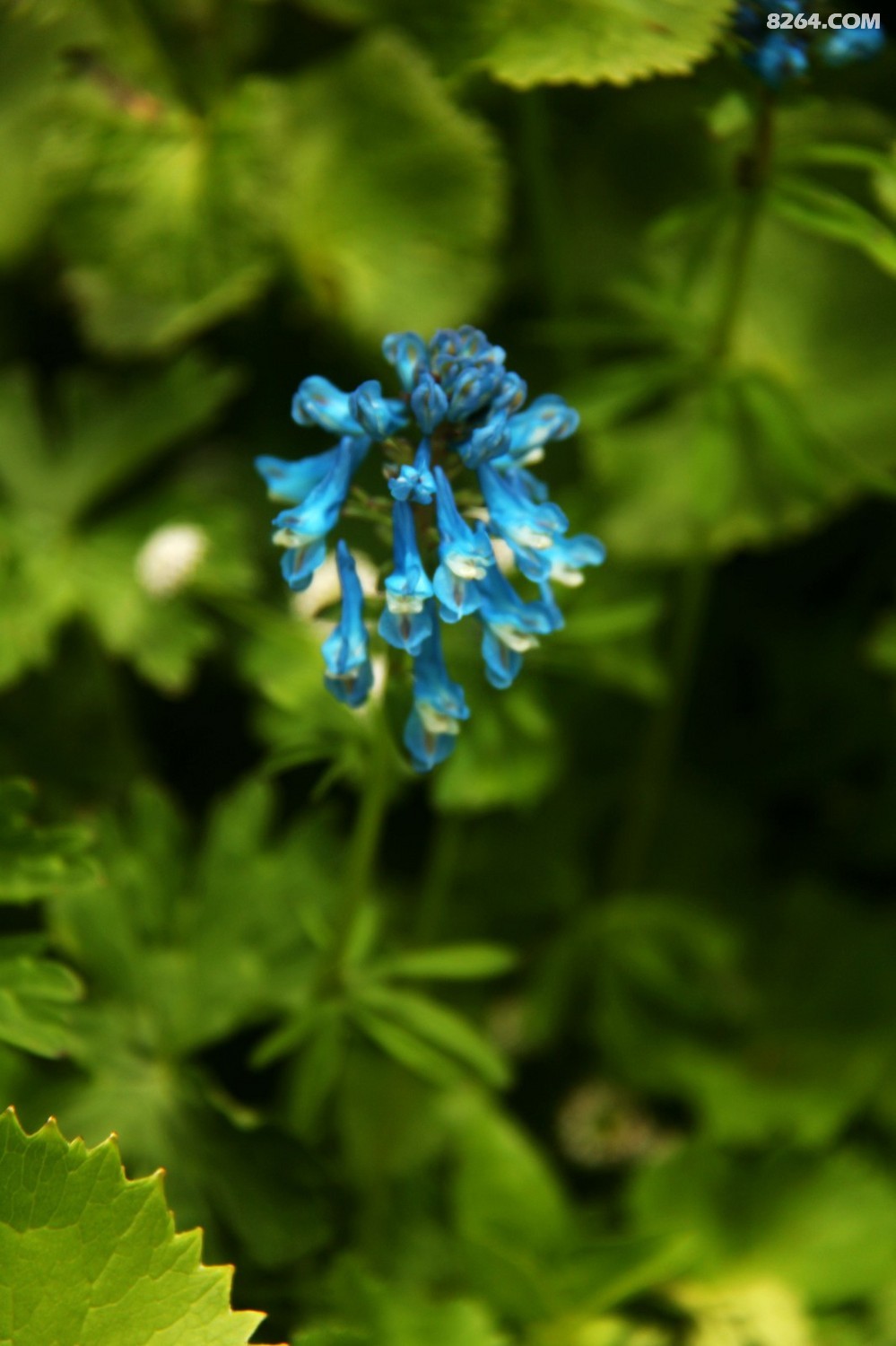 IMG_6631_����.jpg