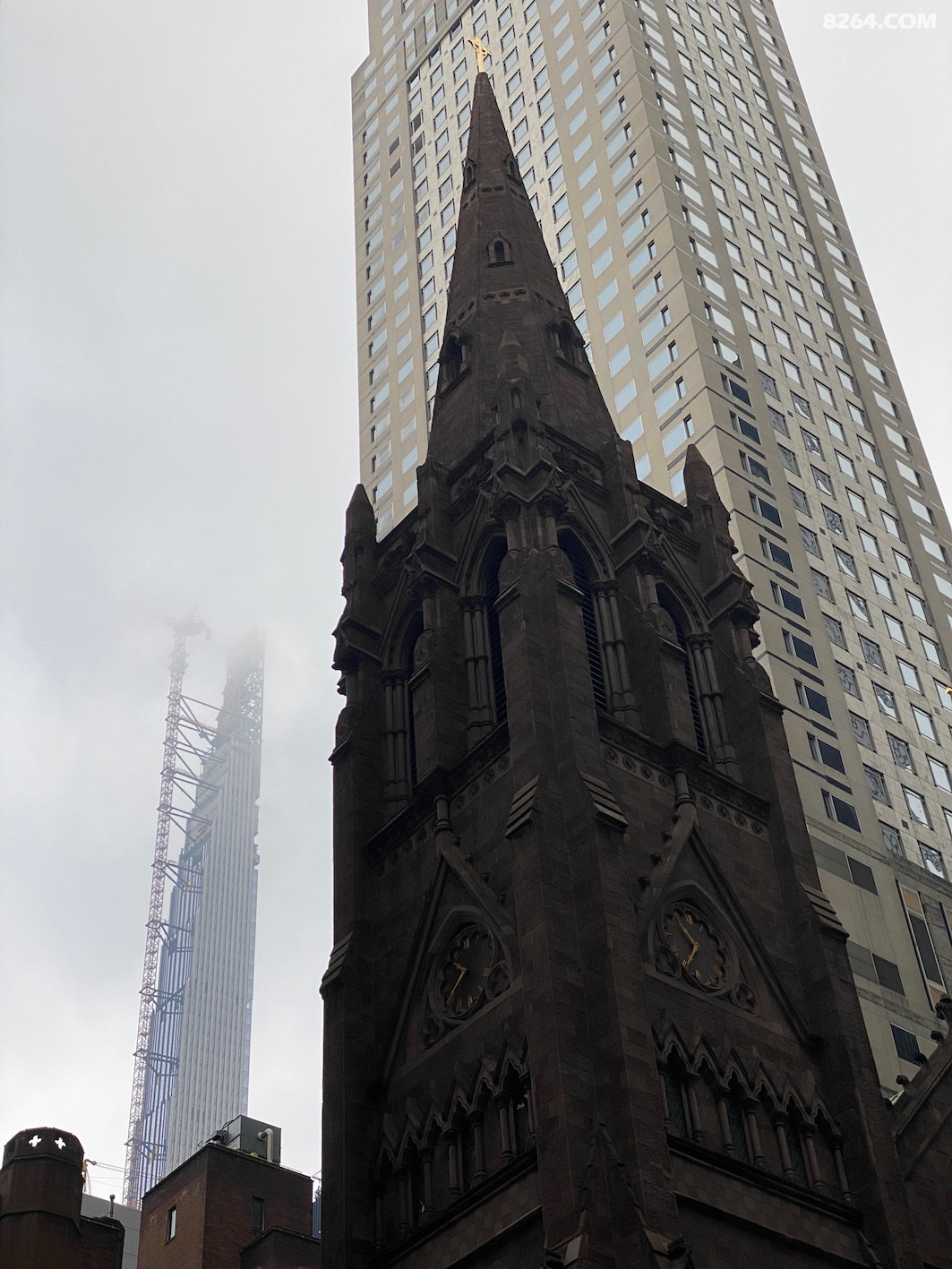 IMG_1501.JPG