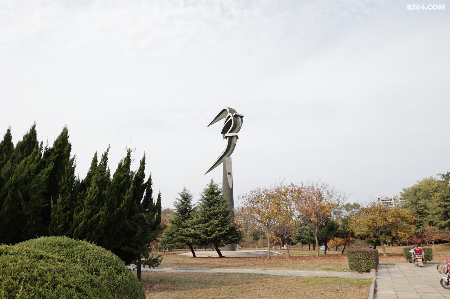 8P5A0991.JPG