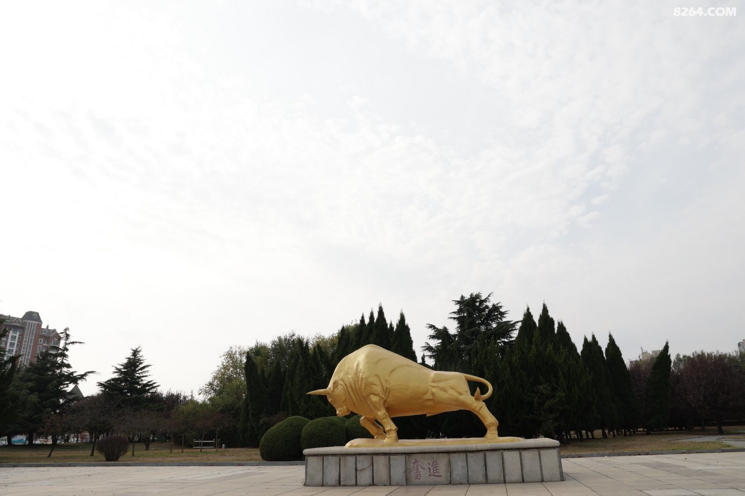 8P5A0995.JPG