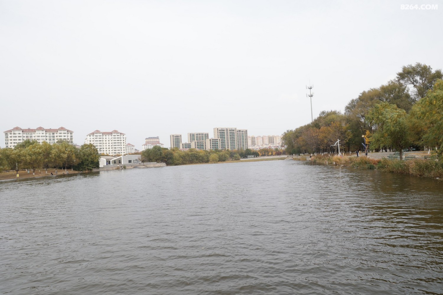 8P5A0997.JPG