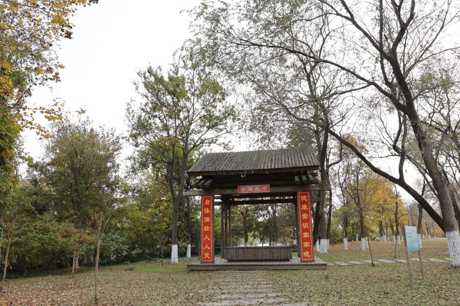 8P5A0998.JPG