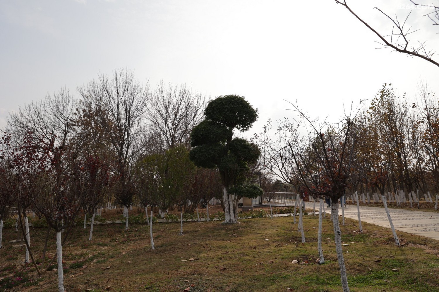 8P5A1022.JPG