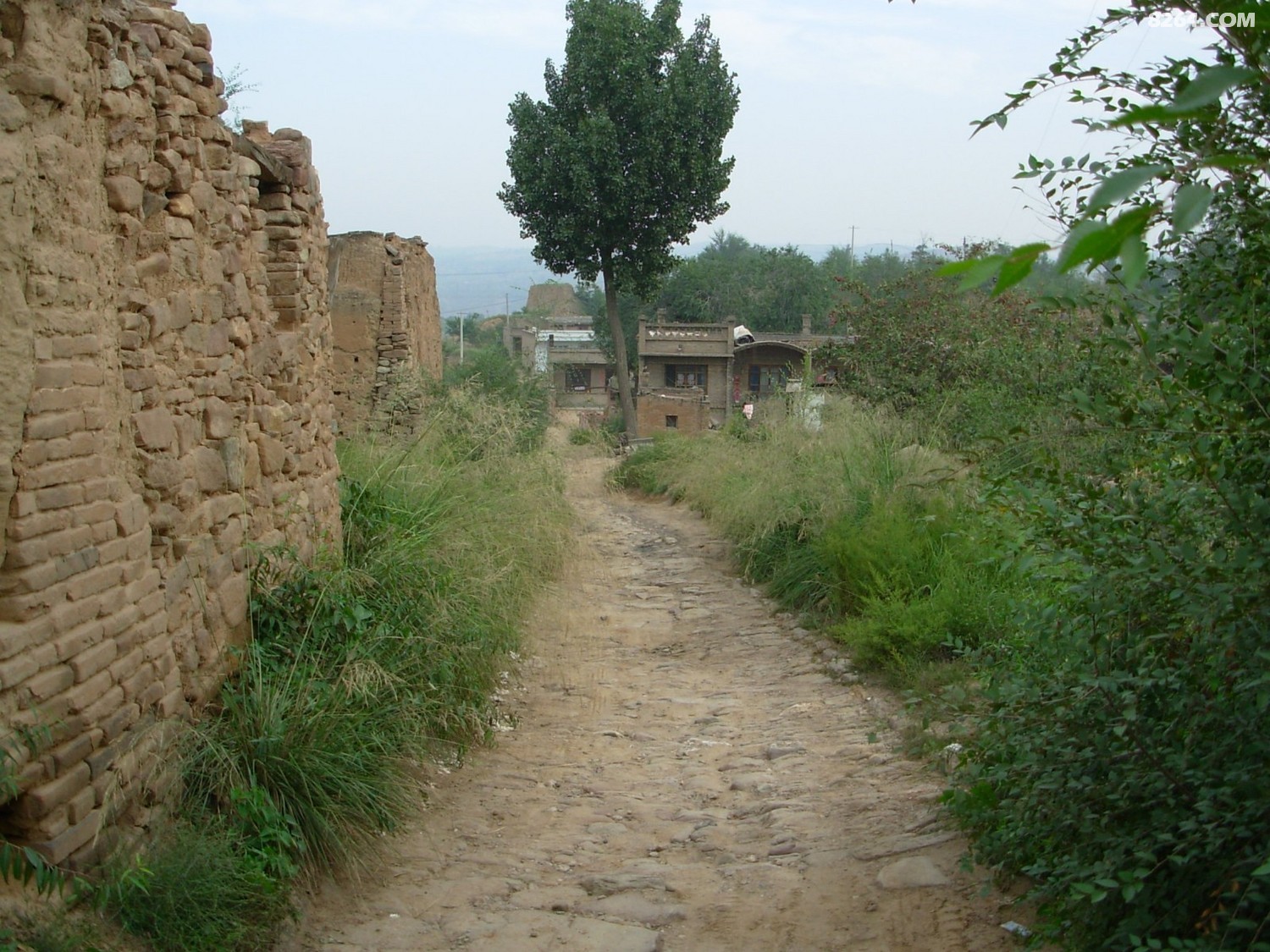 DSCN0335.JPG