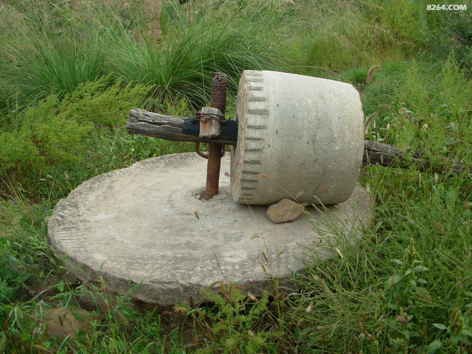 DSCN0375.JPG