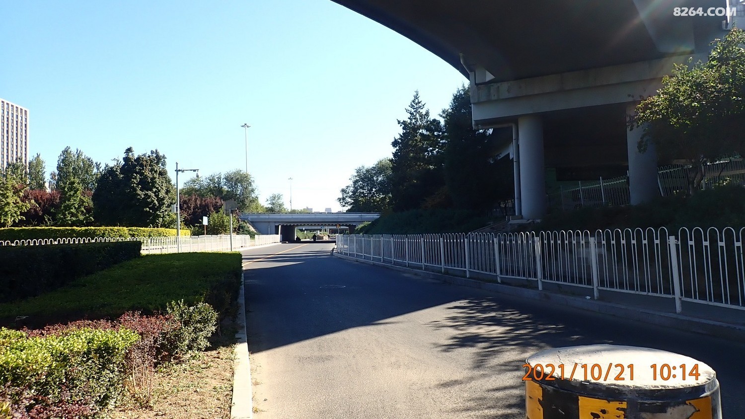 PA210011.JPG