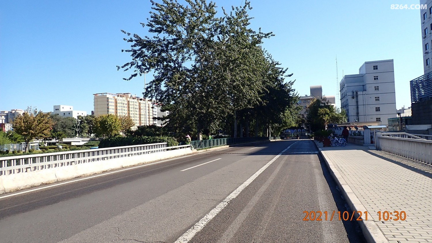 PA210014.JPG