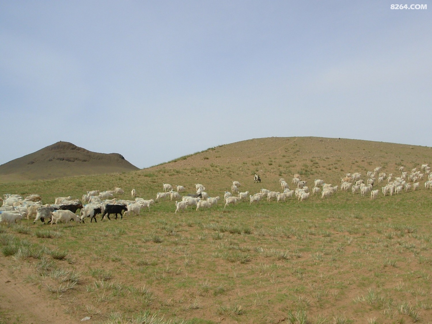 DSCN4832.JPG