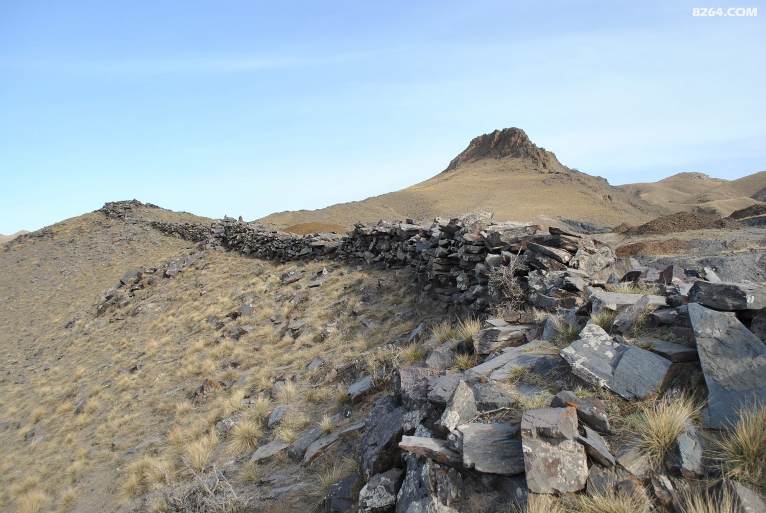 DSC_0116.JPG