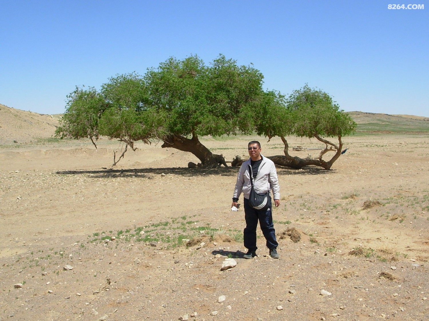 DSCN2677.JPG