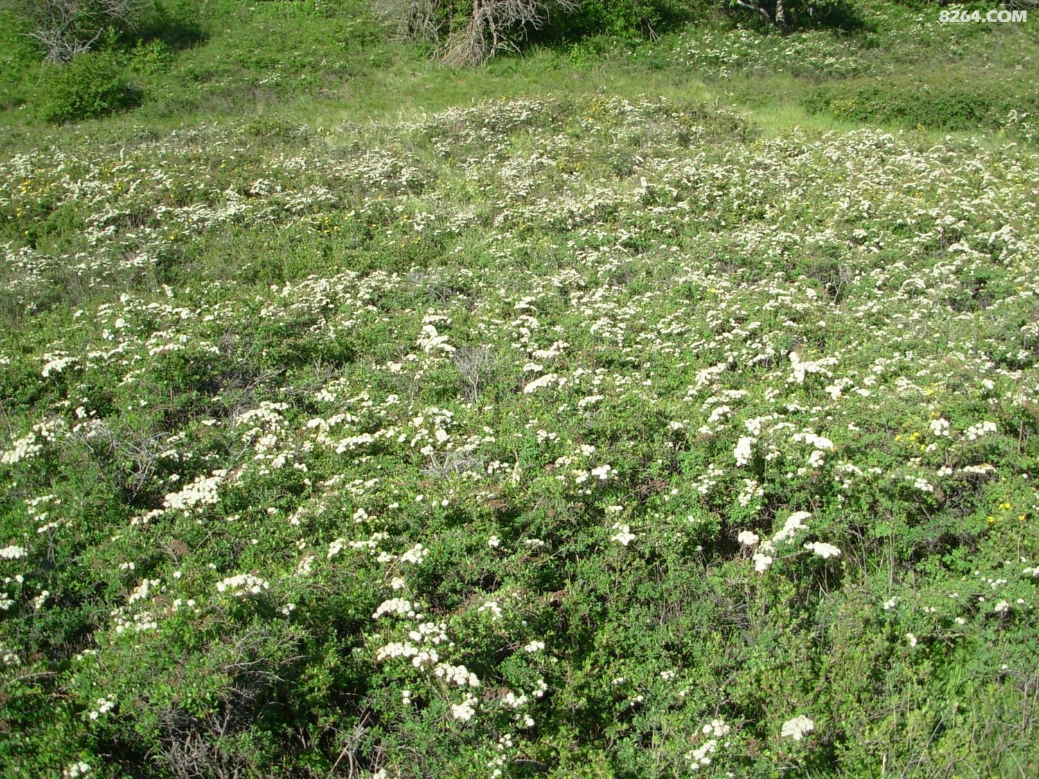 DSCN3322.JPG