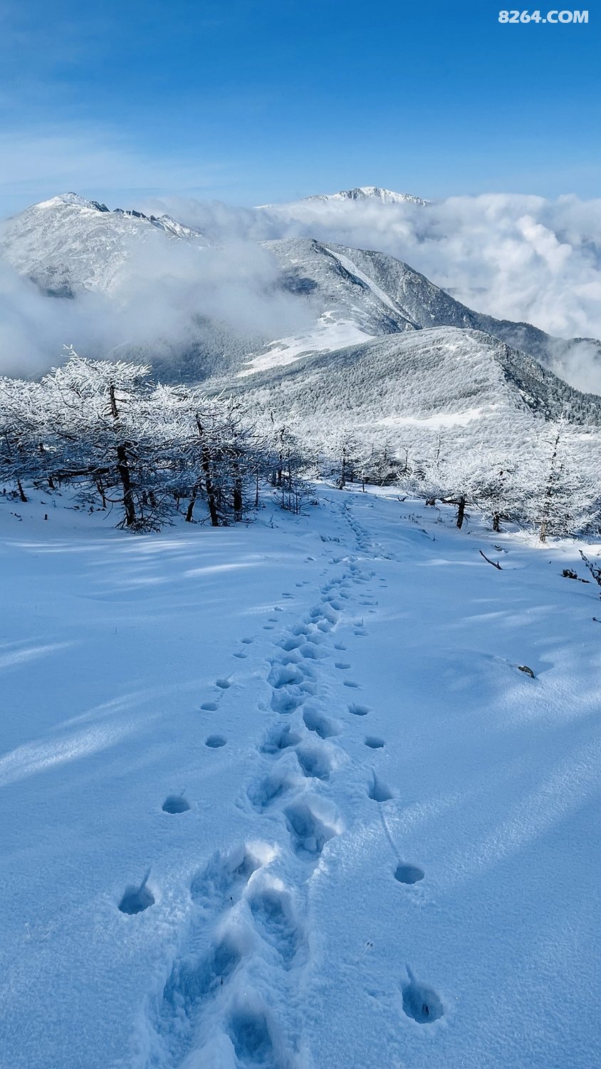 1732307c6g7txv19ory4wp.png!t3w825h0