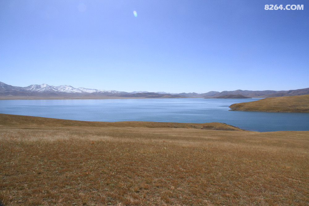 غں磬˺ؽ磬Ϊຣ򸽽һСˮʿɬ214ֻмס