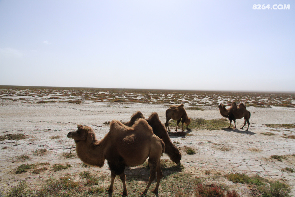 20138ຣ2023պ10ꡣ10꣬߹ģ߹ﶬɽۏϪ֣ԽԭɽˮǰУηꡢ¶ޣƣƣģáຣ·;ңԶޣһɽһˮһһһһľĶɣĶж޷շ壬ķ羰ԶǾͱң룬Զһ˵߾ߵС·ϣtԶ·ĺȻףھ;еĹΪ£еĸֵáǾ꣬îñǾӭ£ԸΪɡף󼪴ллҵļˣллҵѣллһ·ͬе¿ǣڴͬУ׫壬߹ɽ£ͼƬ߹ɽ¡