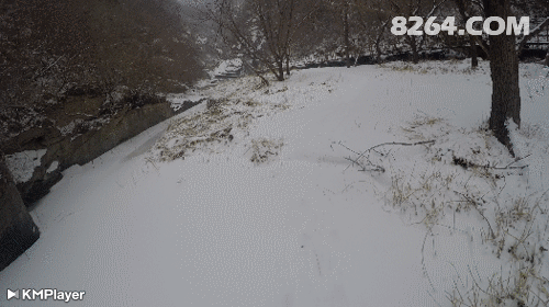 GOPR295623-02-18-14-35-45.gif