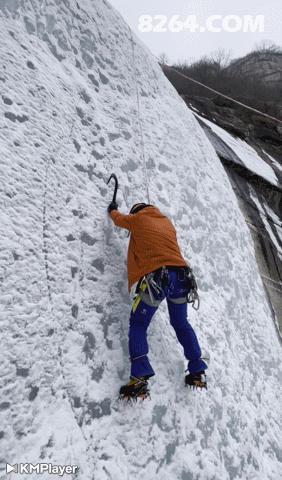 IMG_664223-02-17-12-11-46.gif
