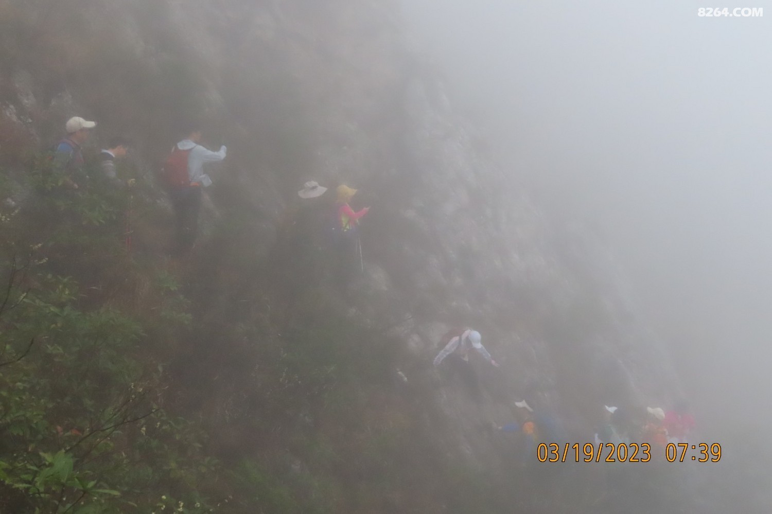 IMG_7261.JPG