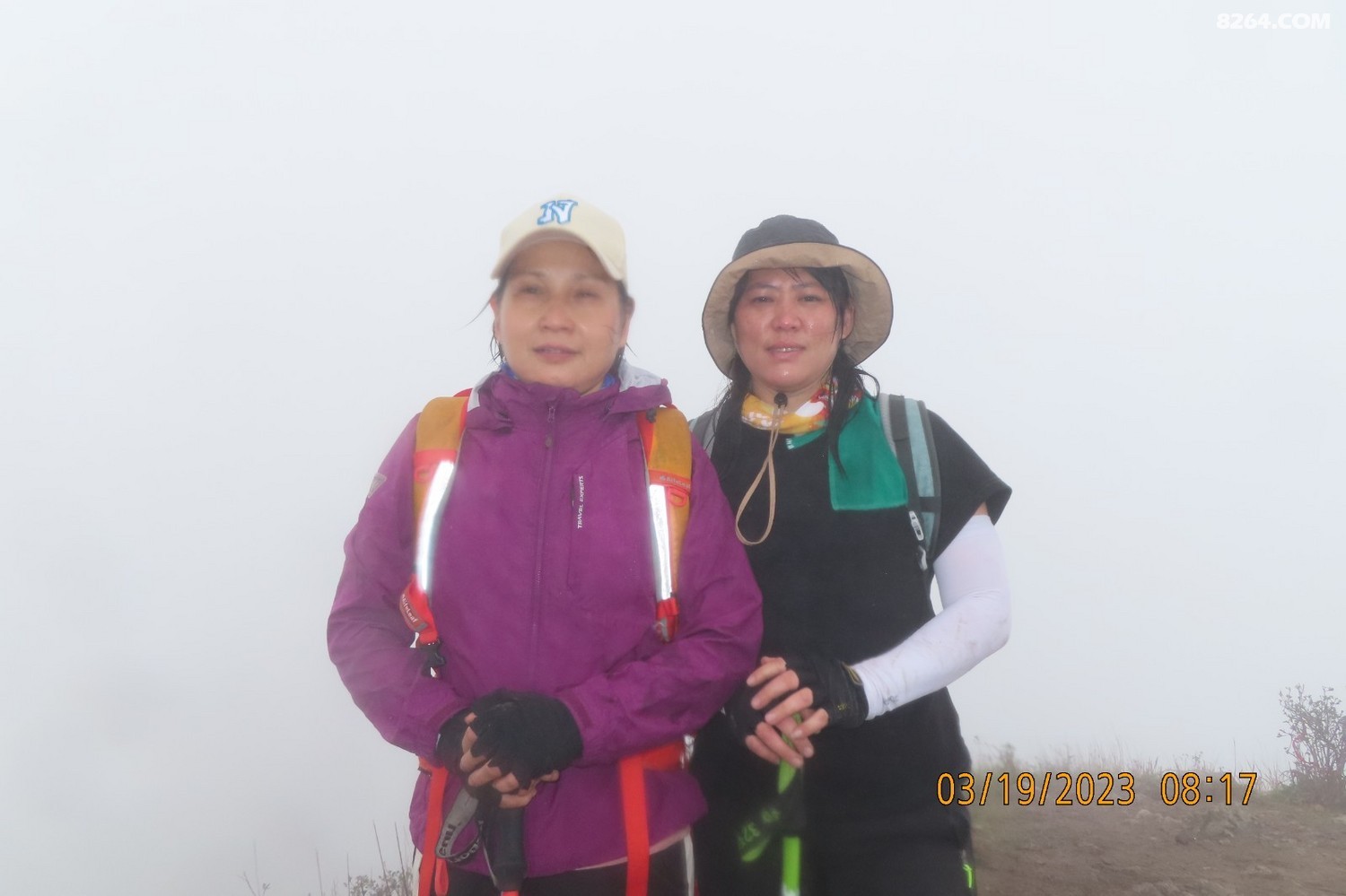 IMG_7338.JPG