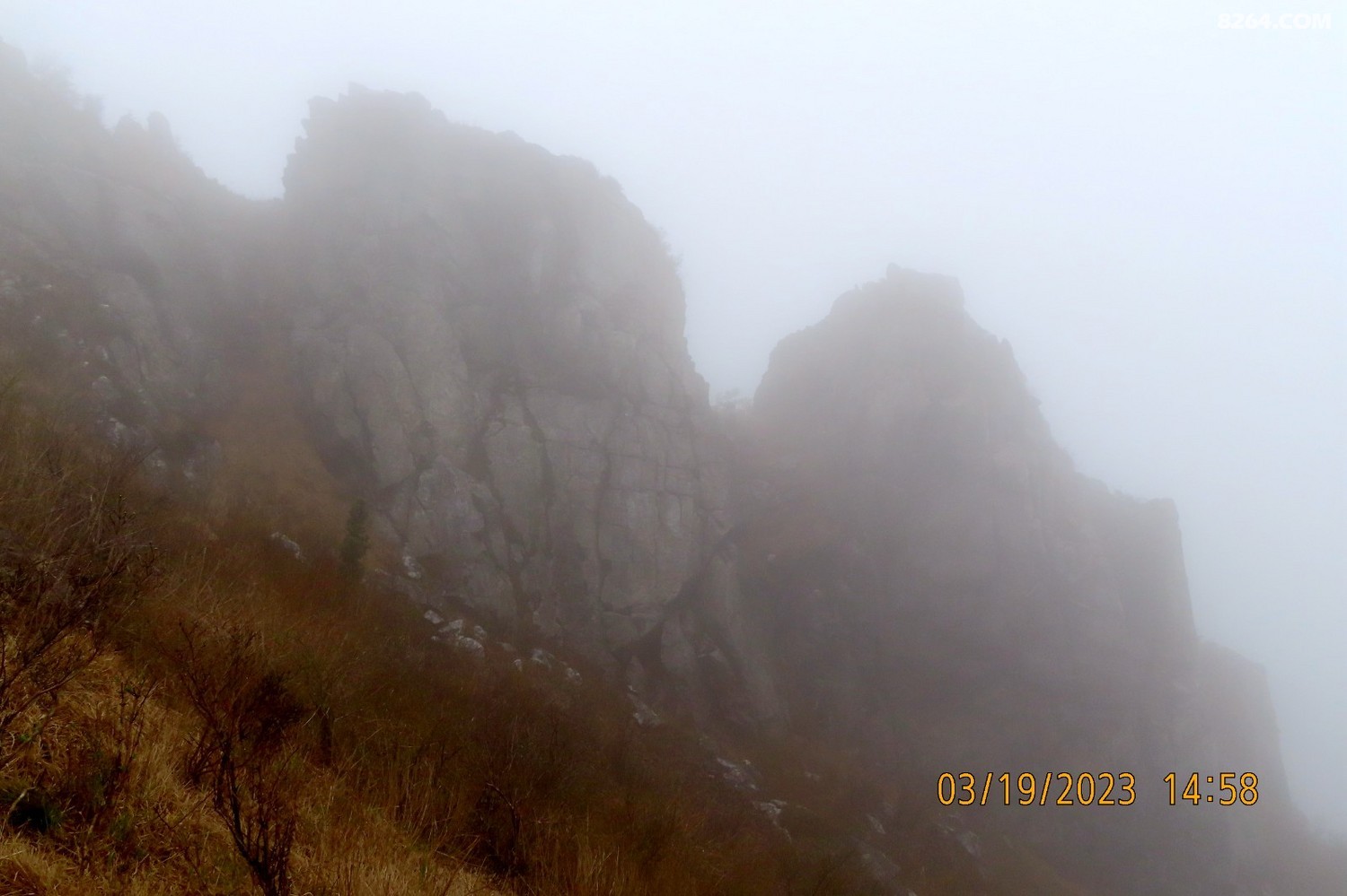 IMG_7716.JPG