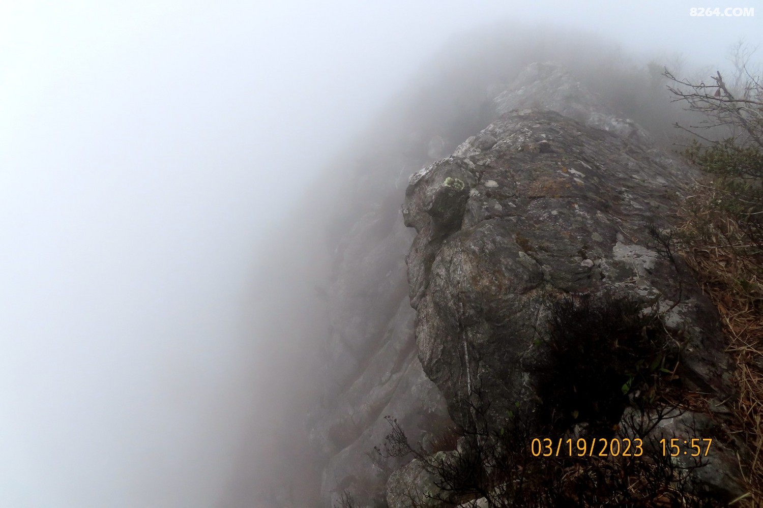 IMG_7779.JPG