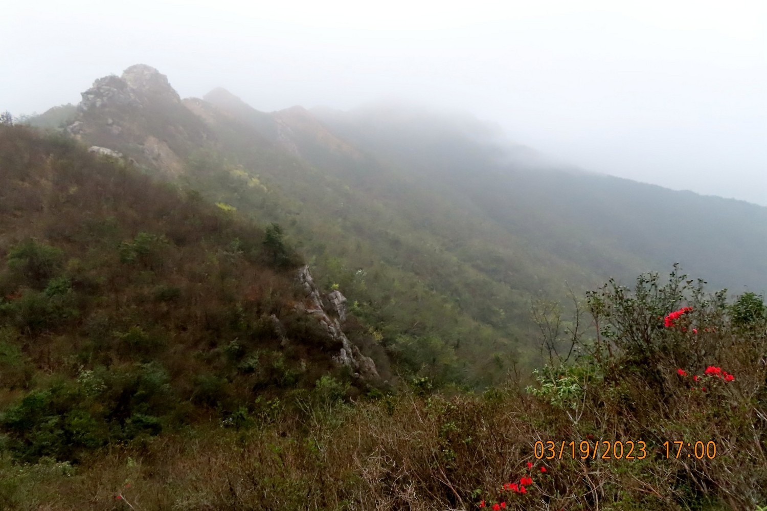 IMG_7835.JPG