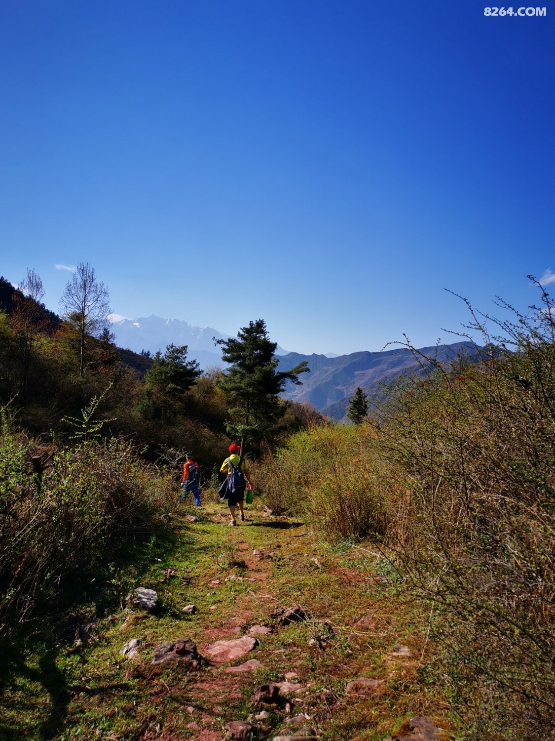 IMG_20230415_165059.jpg