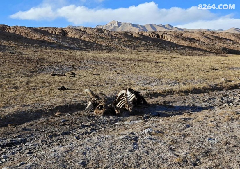 1618284ff7e9lqbljjq6hz - 旅行杂谈 文化历史 民俗人文 交通贴士 在野 去没有天花板的地方