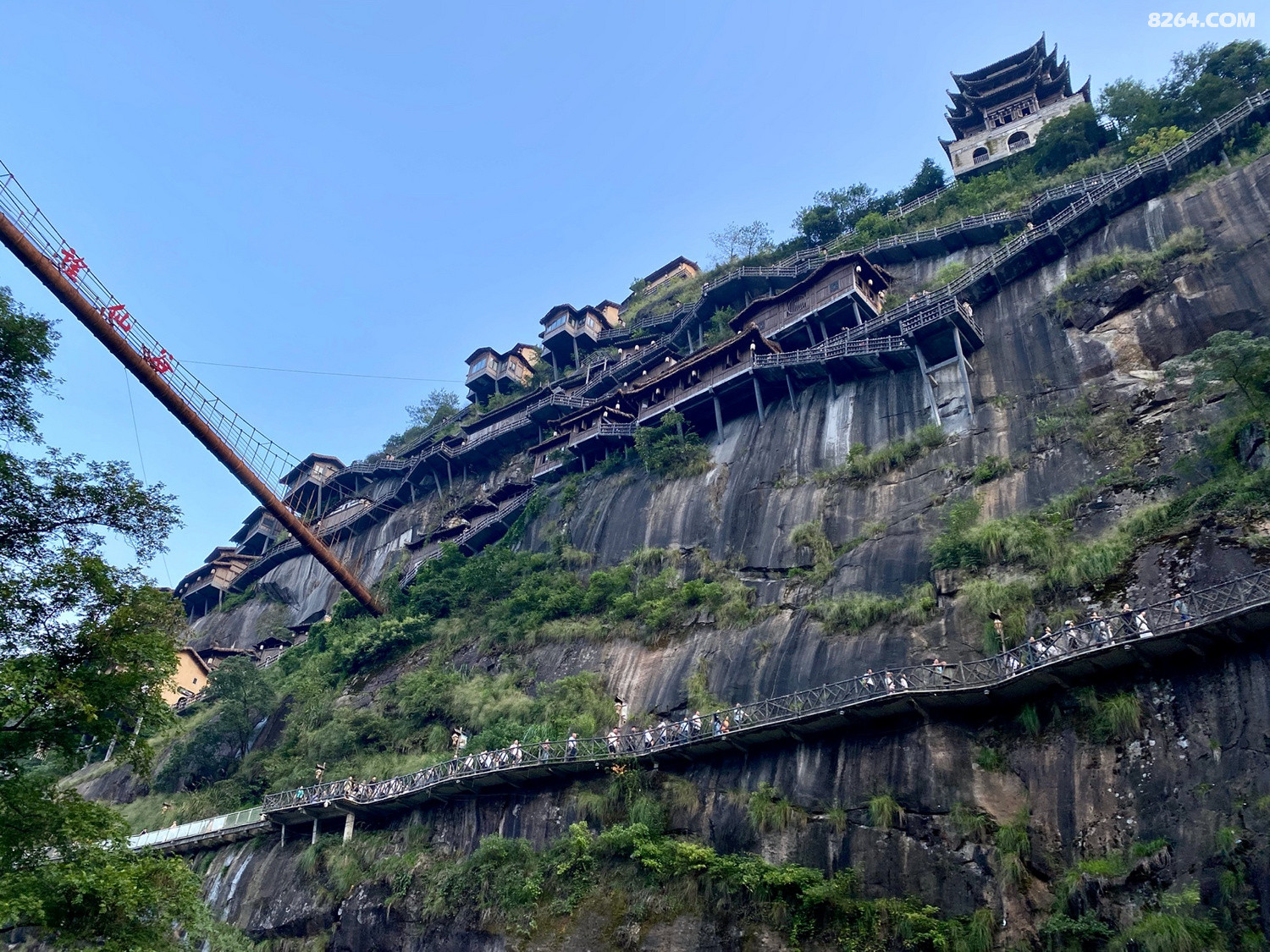 075731k6ppulr39bcmbapy.jpeg!t1w1500h1500x9m1