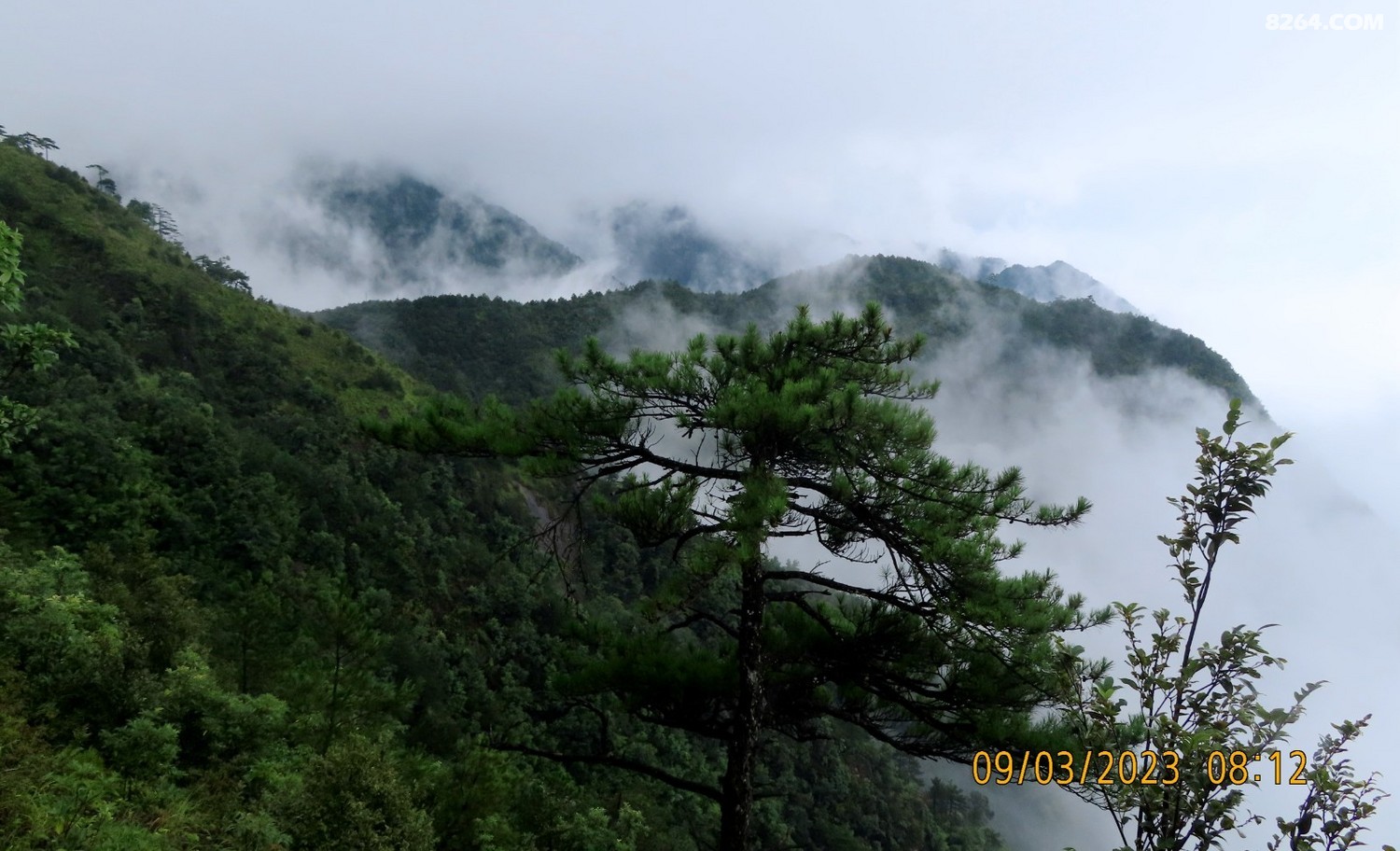 IMG_3434.JPG
