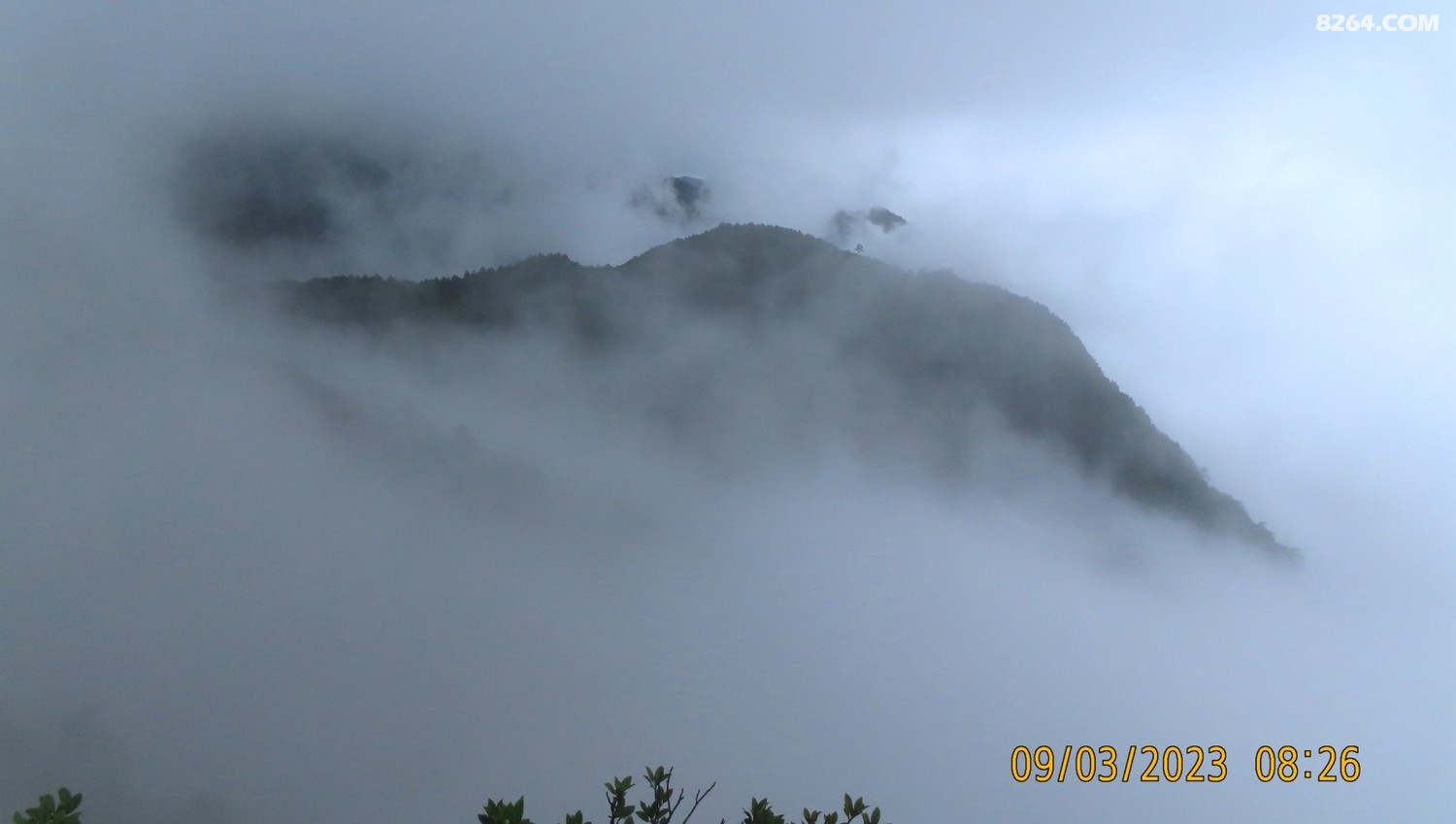 IMG_3453.JPG