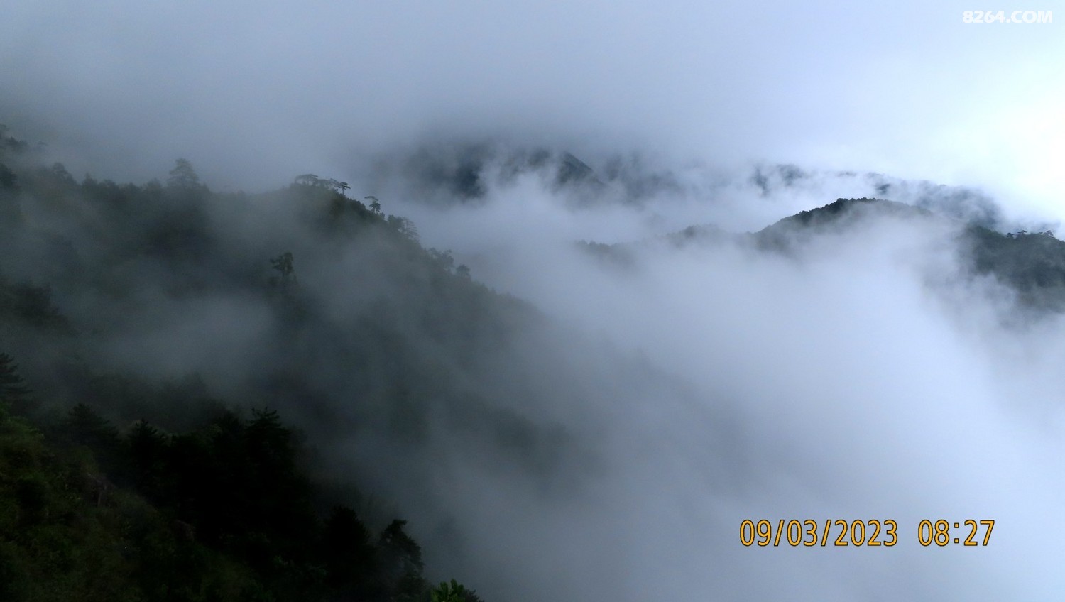 IMG_3455.JPG