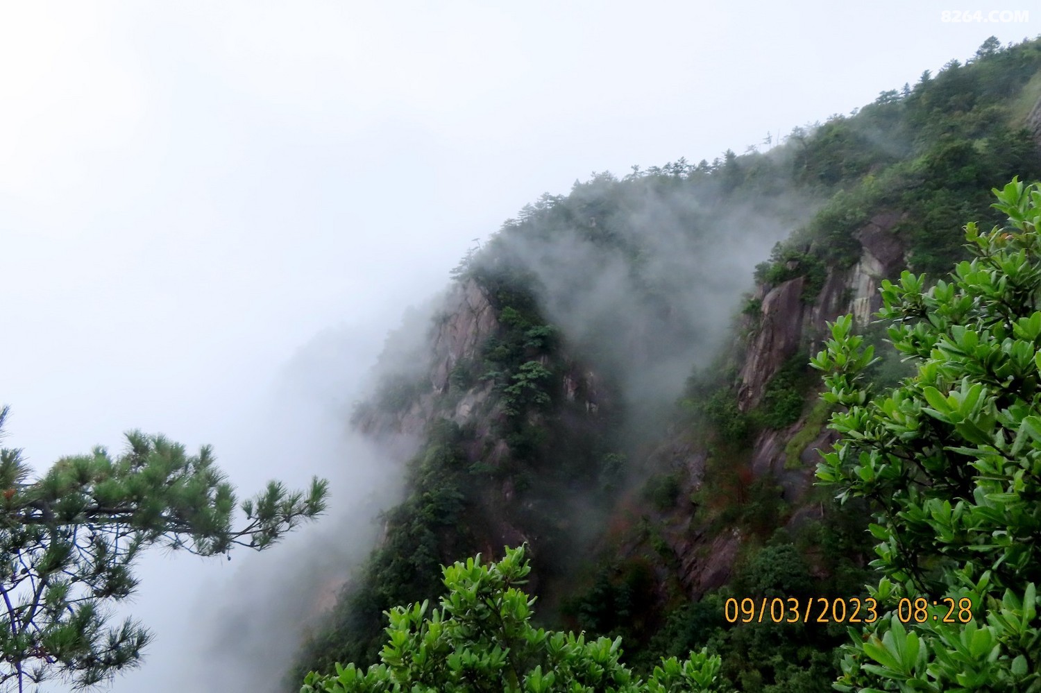 IMG_3457.JPG