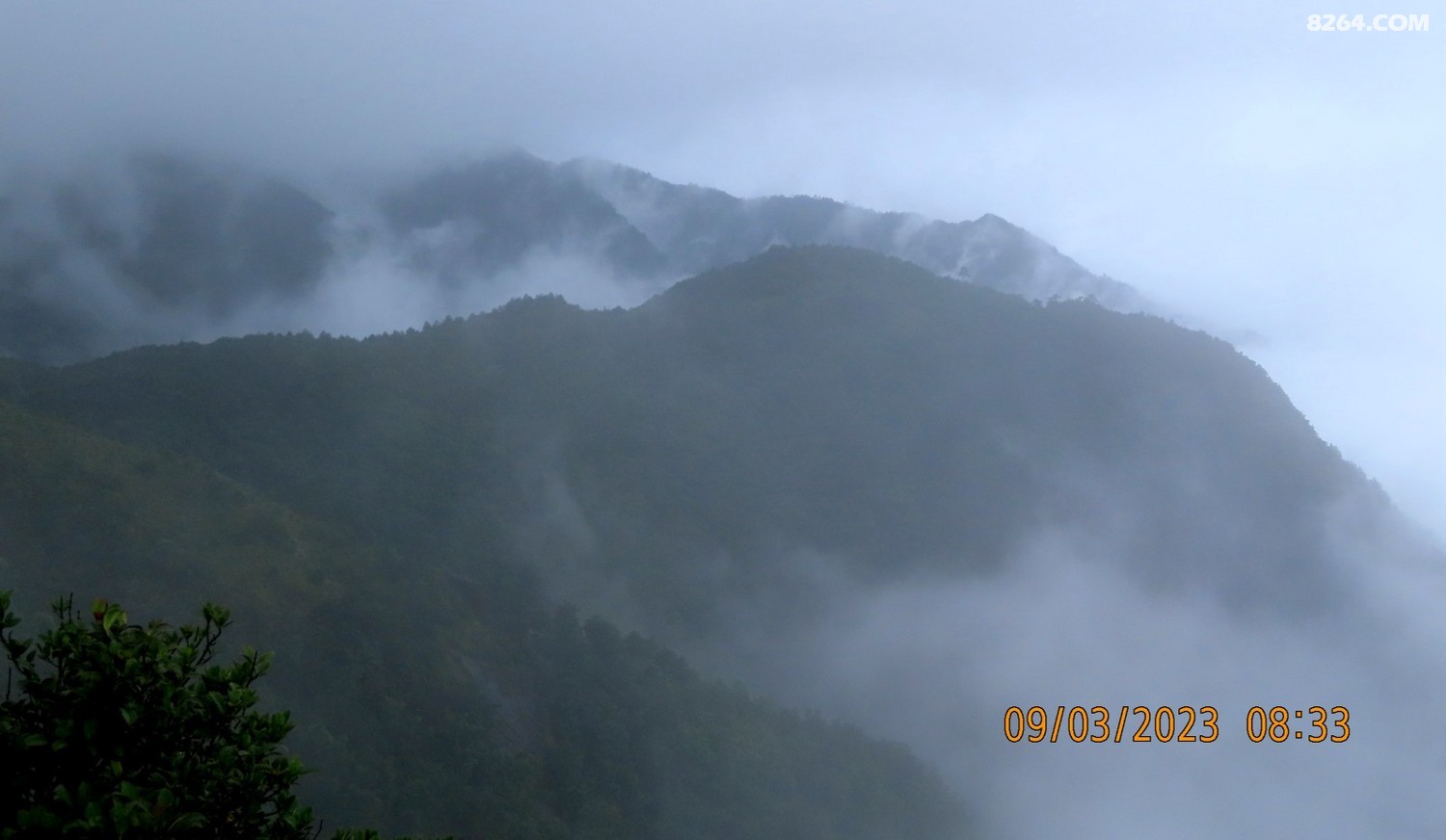IMG_3486.JPG