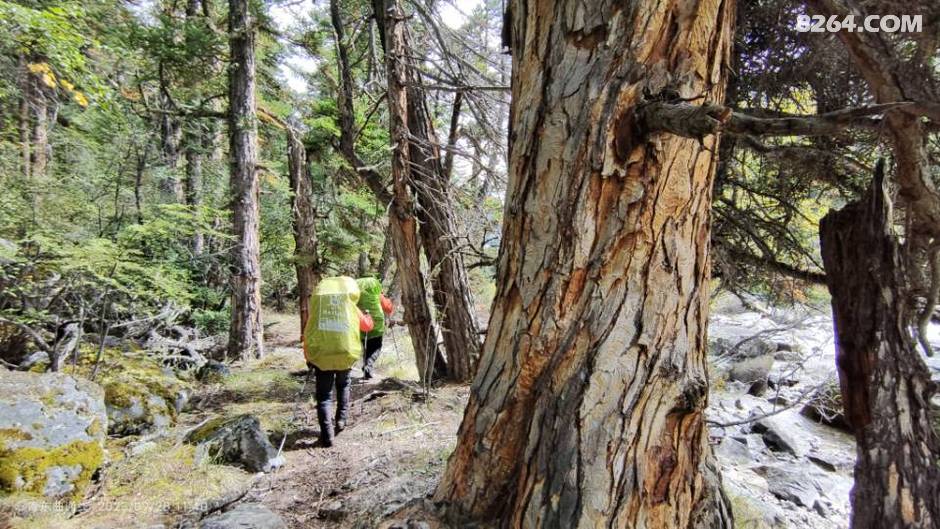 16313065250be2ae6f3106.jpg!t3w825h0