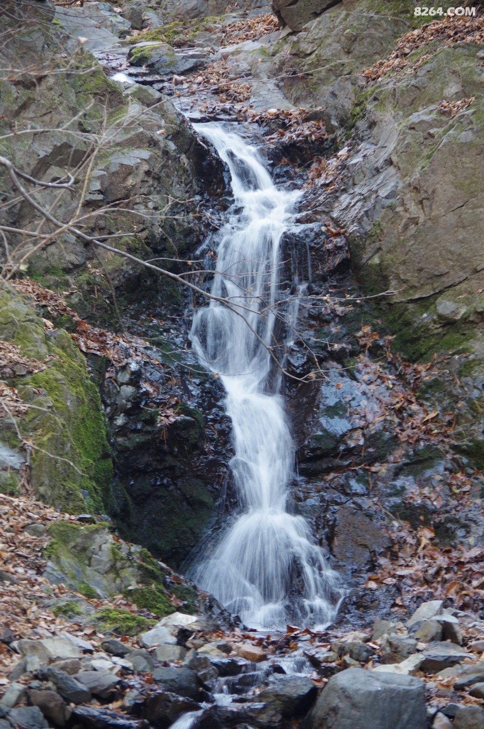 IMGP8624.JPG