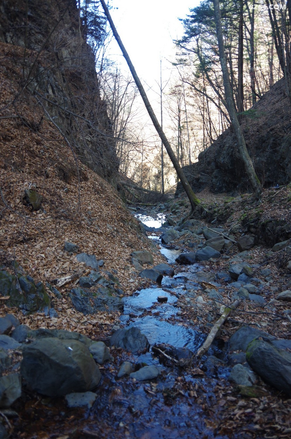 IMGP8638.JPG