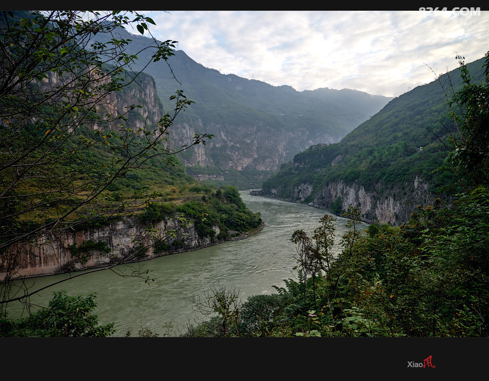 DSC_2231.jpg